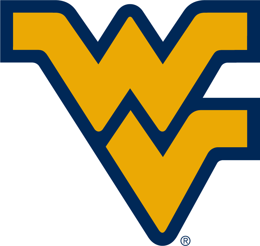 West Virginia Mountaineers 2016-Pres Alternate Logo iron on transfers for T-shirts